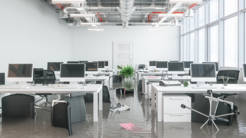 IT and cloud file services