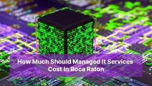 How Much Should Managed It Services Cost In Boca Raton
