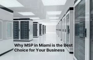 Why MSP in Miami is the Best Choice for Your Business 111